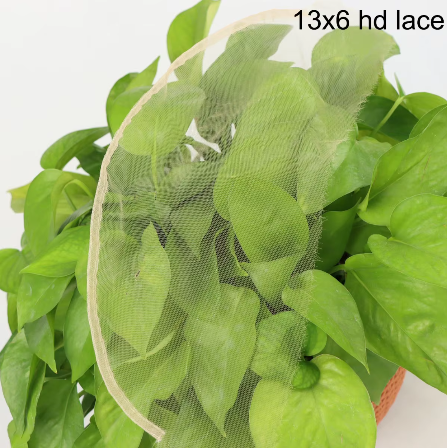 HD Lace Wig on a 13x4 Frontal 300% Density