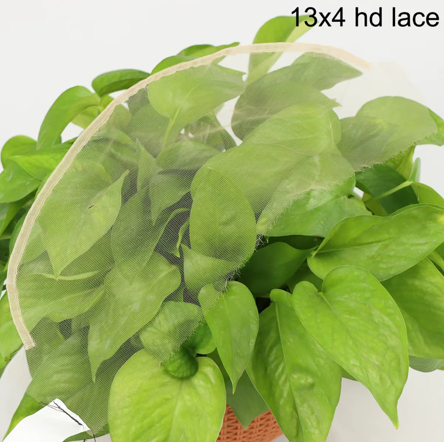 HD Lace 13x4 Frontal